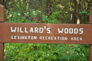Willard's Woods
